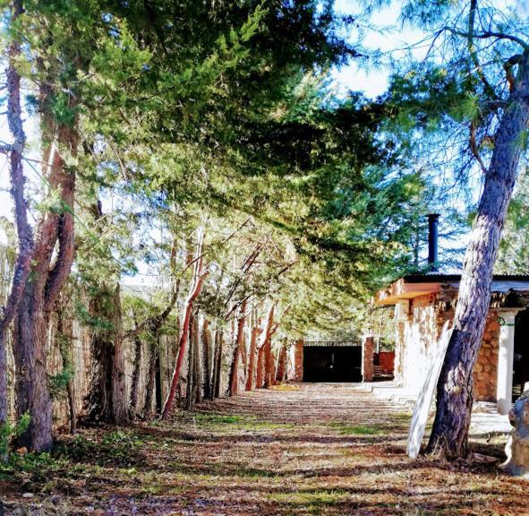 La Cabana De Piedra Ruidera Exterior photo